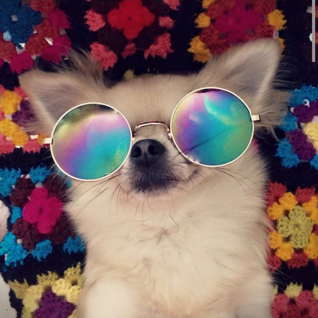 _RainbowVintage's tweet photo. #vintage #shop #FridayFeeling #friday #Weekend #sunny #spring #animallovers #weekendvibes #rainbow #love #vintageshop http://t.co/v2Hqp6HkhU