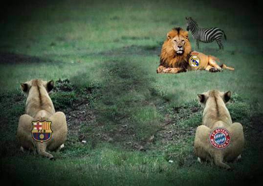 lion real madrid