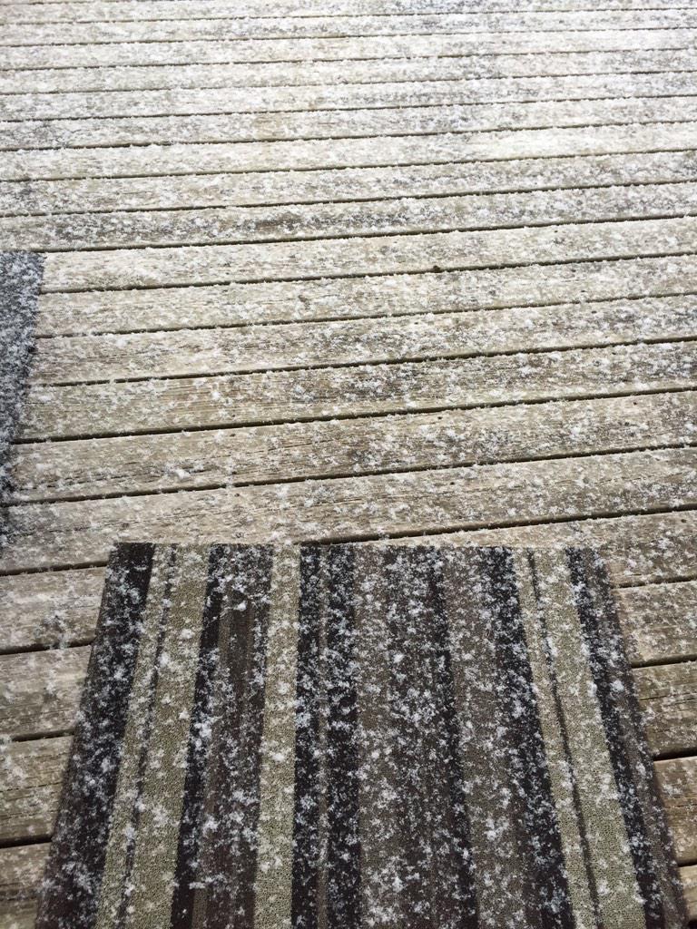 OshawaKicks's tweet photo. Great day for @durhamcollege sport management golf tournie? #snowreally @director_ron @Kickskeepers @SirTaylorLord http://t.co/y9SaAAlvxa