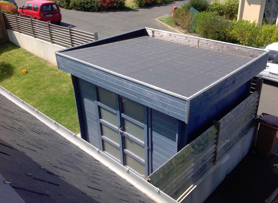 ecodomuk tweet picture