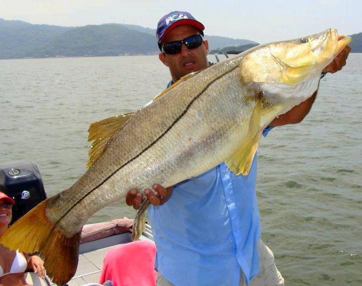 thefishinglife's tweet photo. #snooktime http://t.co/6WRG66cDOe