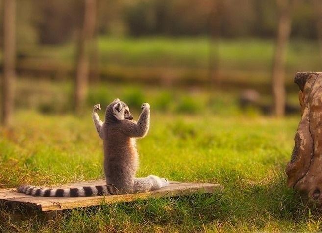 plhmedical's tweet photo. #FridayFeeling anyone?
#feelingdigital #diagnostic #imaging #saves #lives http://t.co/wQyP0raJFs