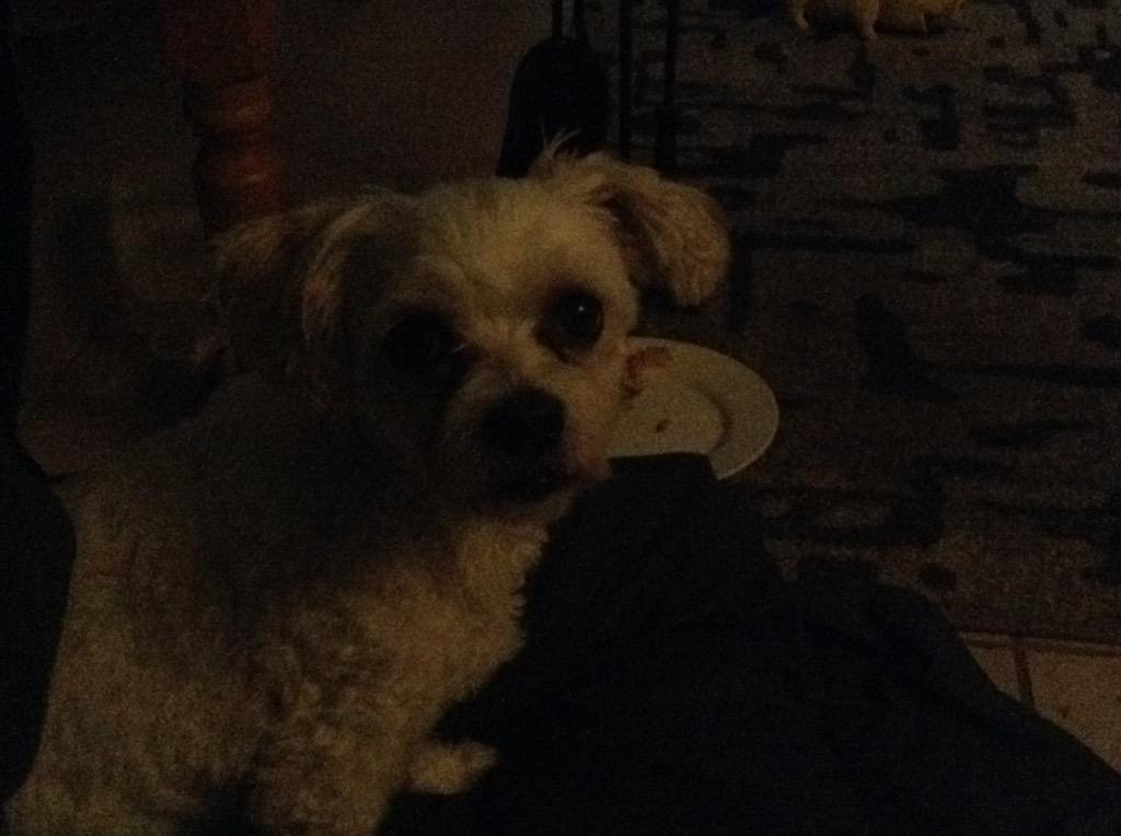 Botheredturtle's tweet image. Took this picture while I was away