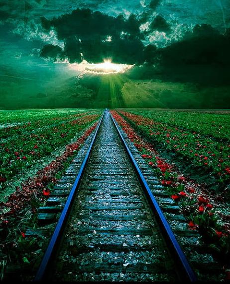 الاحترام .. الحب... الإهتمام ...
أول طريق السعادة💖