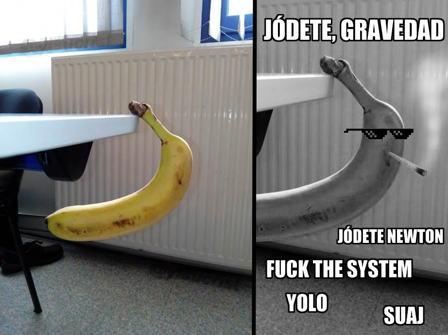 JAJAJAJAJJAJAJAJ #ThugLife