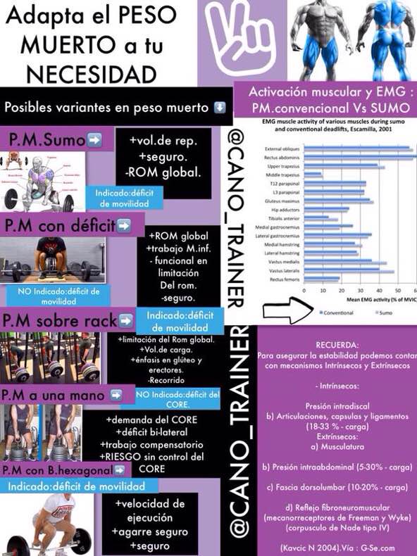 CANO_TRAINER's tweet photo. EJERCICIO RECOMENDABLE SI SE REALIZA BIEN=PESO MUERTO.

Si existe limitación funcional,AJUSTA EJERCICIO A NECESIDAD. http://t.co/sKmXpbSyd4