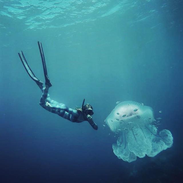 wetsweetsbcn's tweet photo. Dare to discover the unexpected with #wetsweets #diving http://t.co/iR98YkxHjP