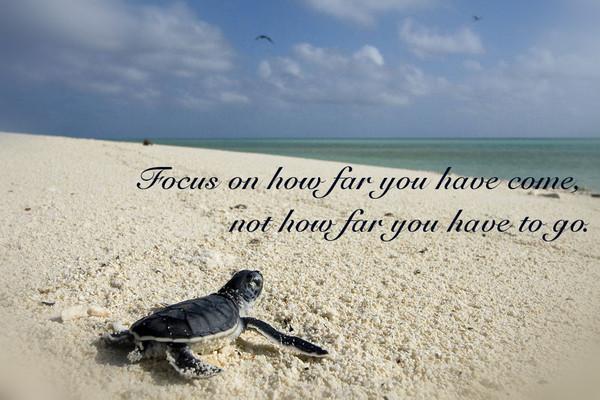 bandondrun's tweet image. 