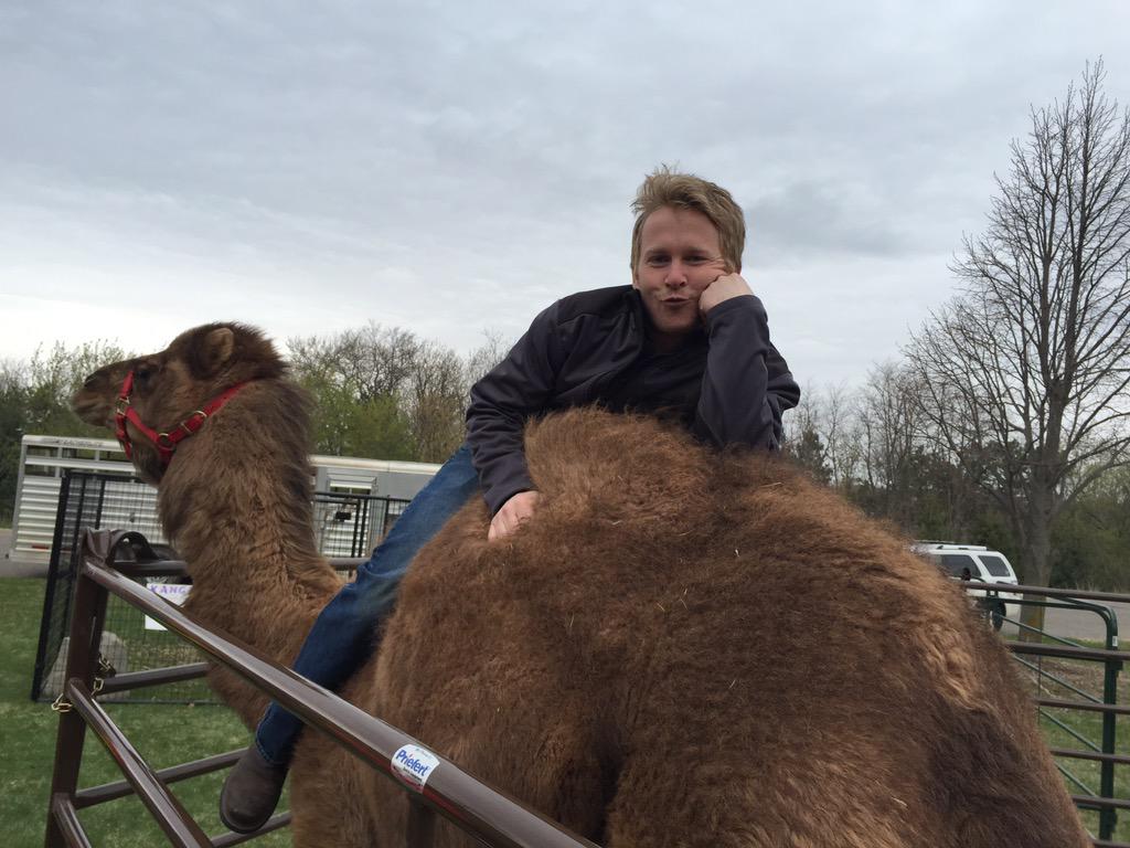 redwingffa tweet picture