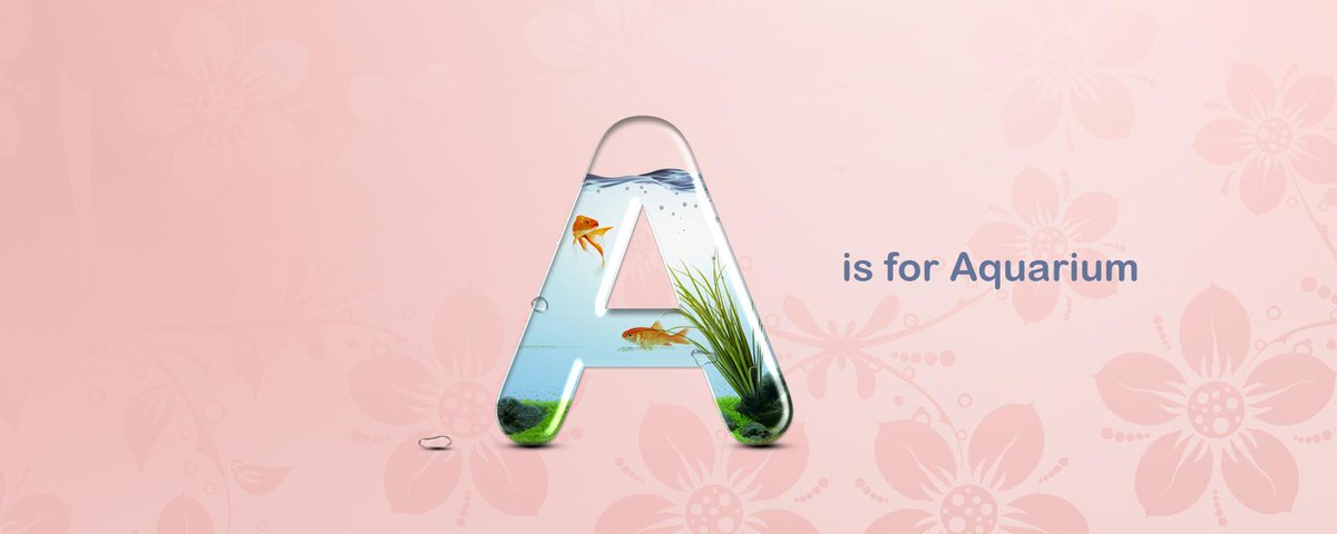 MyFirstAlphabet's tweet image. A is for Aquarium (Rose's First Alphabet)

myfirstalphabet.com (baby’s personalised alphabet)
#nursery