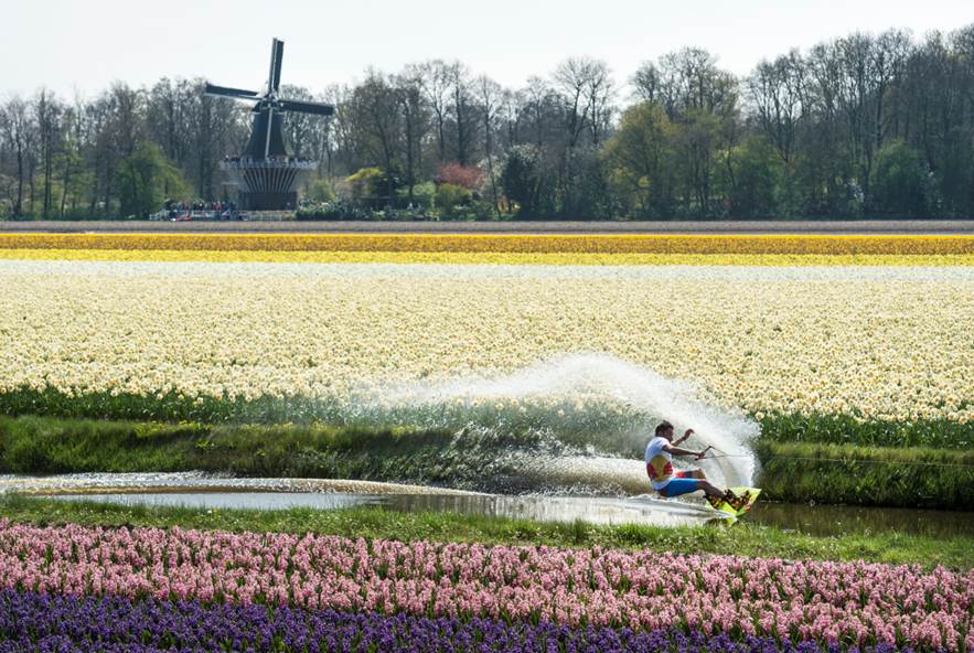 redbull's tweet photo. Bloom! http://t.co/zitrbwzt4t