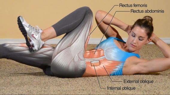 ConvictCond's tweet photo. Bodyweight Training Anatomy.

Start working out now---> http://t.co/vecgwKXw0a http://t.co/d6FukRGg6W