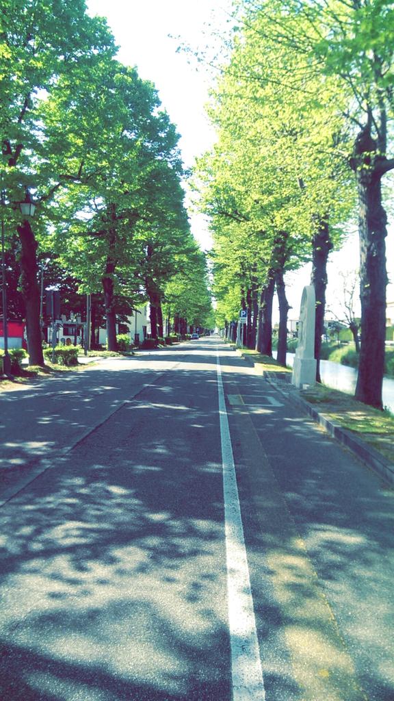 080ca130bc2d430's tweet photo. Green paradise #soquiet http://t.co/sXi24hFihp