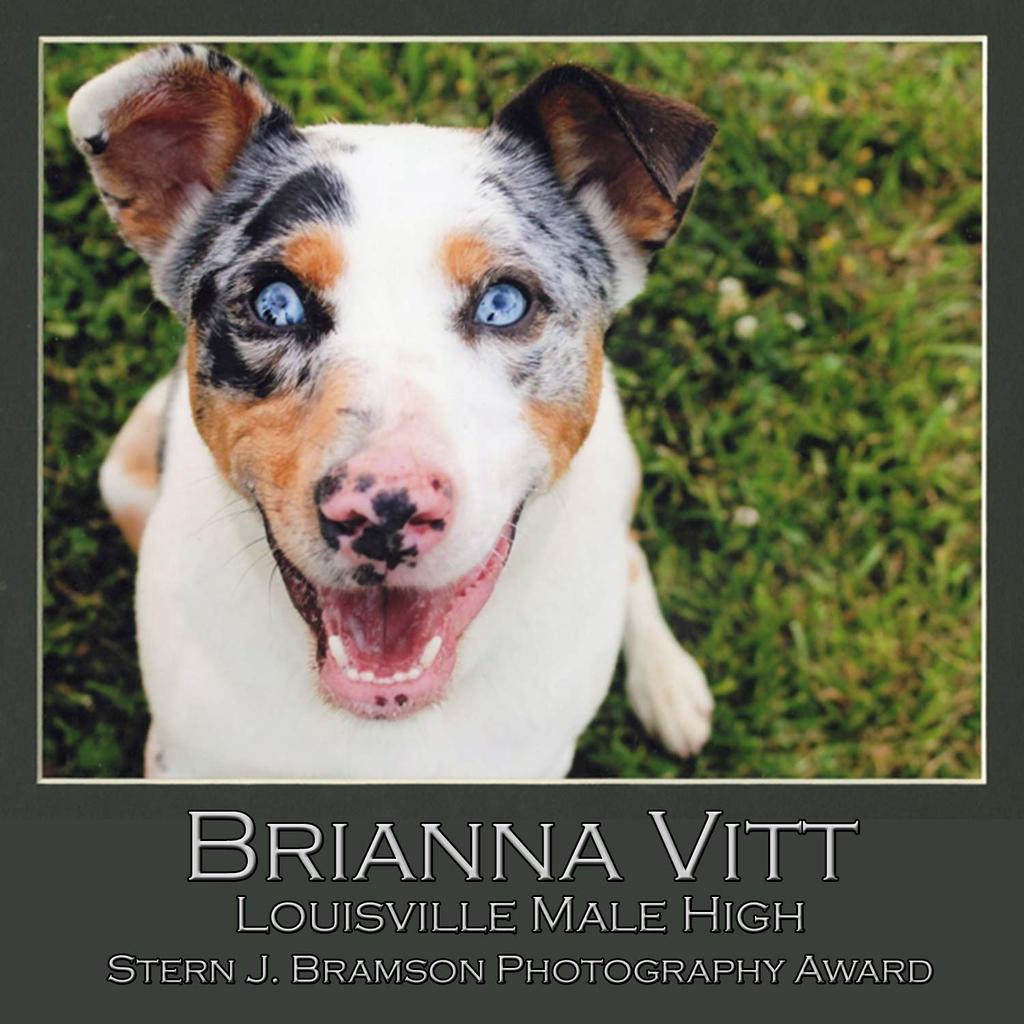 Congrats to sr Brianna Vitt <a href="/malehighschool/">Louisville Male HS</a>. She wins $1,000 Bramson Photo Award. PORTFOLIO: goo.gl/hGvnyh