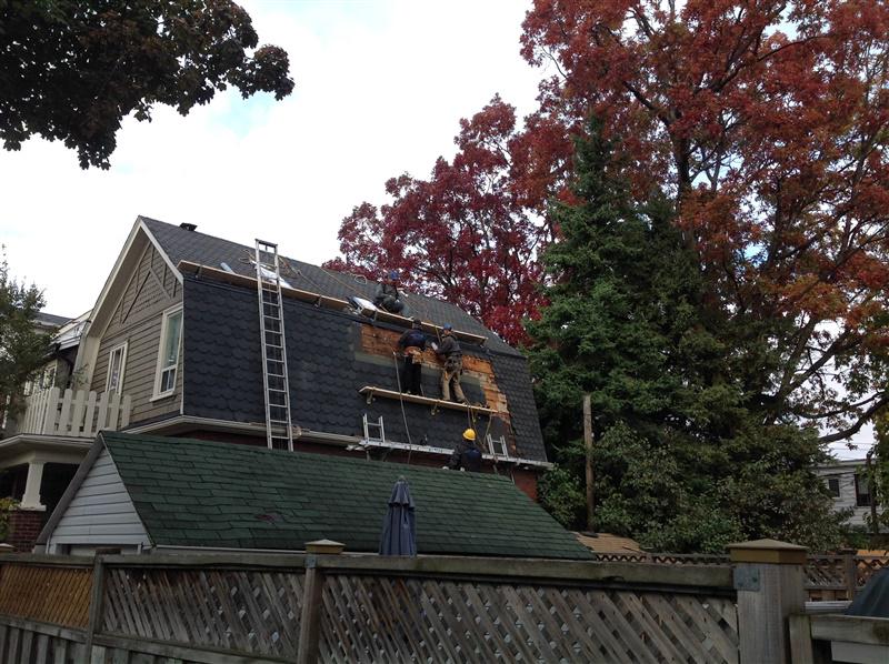 Do you #need to #replace your #roof?
Give us a #call at
647-521-7883
proroofing.ca/roofing-contra…
#ProRoofing #Toronto #GTA