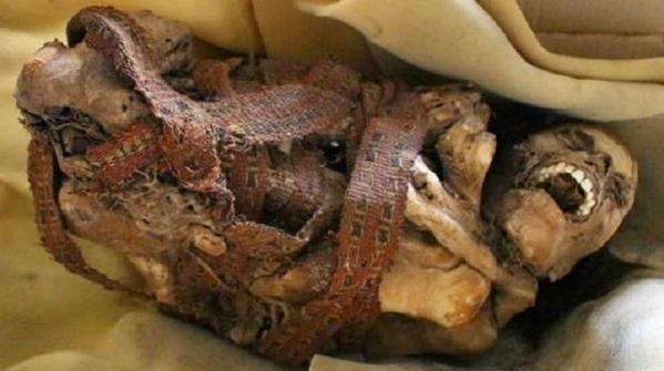 "<a href="/red_historia/">Red Historia</a>: #Arqueología - Encuentran una momia en una caja de cartón en Perú: redhistoria.com/encuentran-una… "