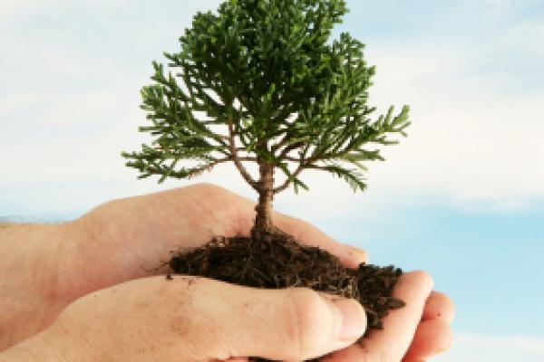 Rangatel's tweet photo. Lets get together celebrate #ArborDay. Realize the Importance of Tress
Do Plant and Care for Trees
#RangaTel #VoIP http://t.co/YoWZKoSWj5