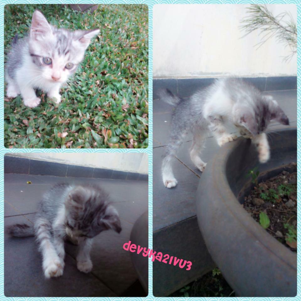 Devyka21vu3's tweet photo. Gemes bangeeet.. Ceritanya candid camera.. http://t.co/kjxFdBLmKr