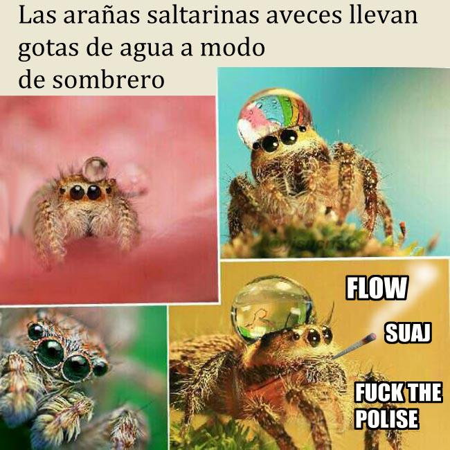yisucrist's tweet photo. la naturalesa es inkreíble http://t.co/kKKueQovnZ