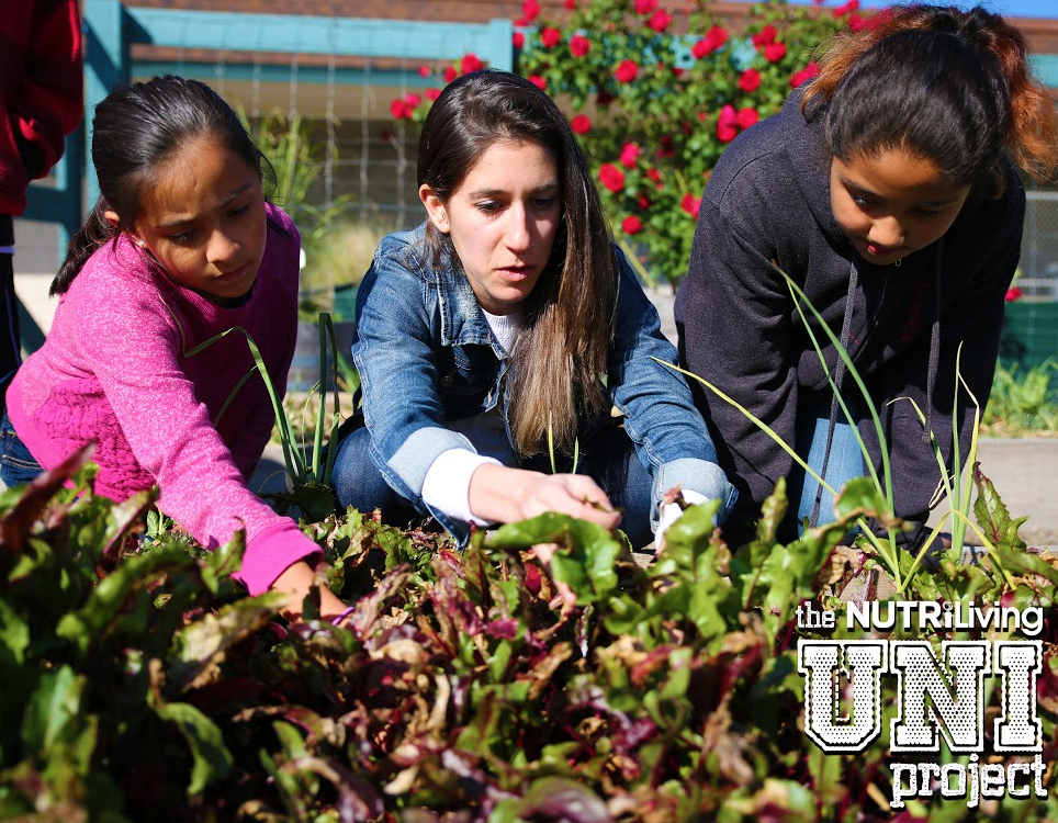NutriBulletUNI's tweet photo. Real food comes from plants - not made in a plant! #theUNIproject http://t.co/QZUBE4PyrU