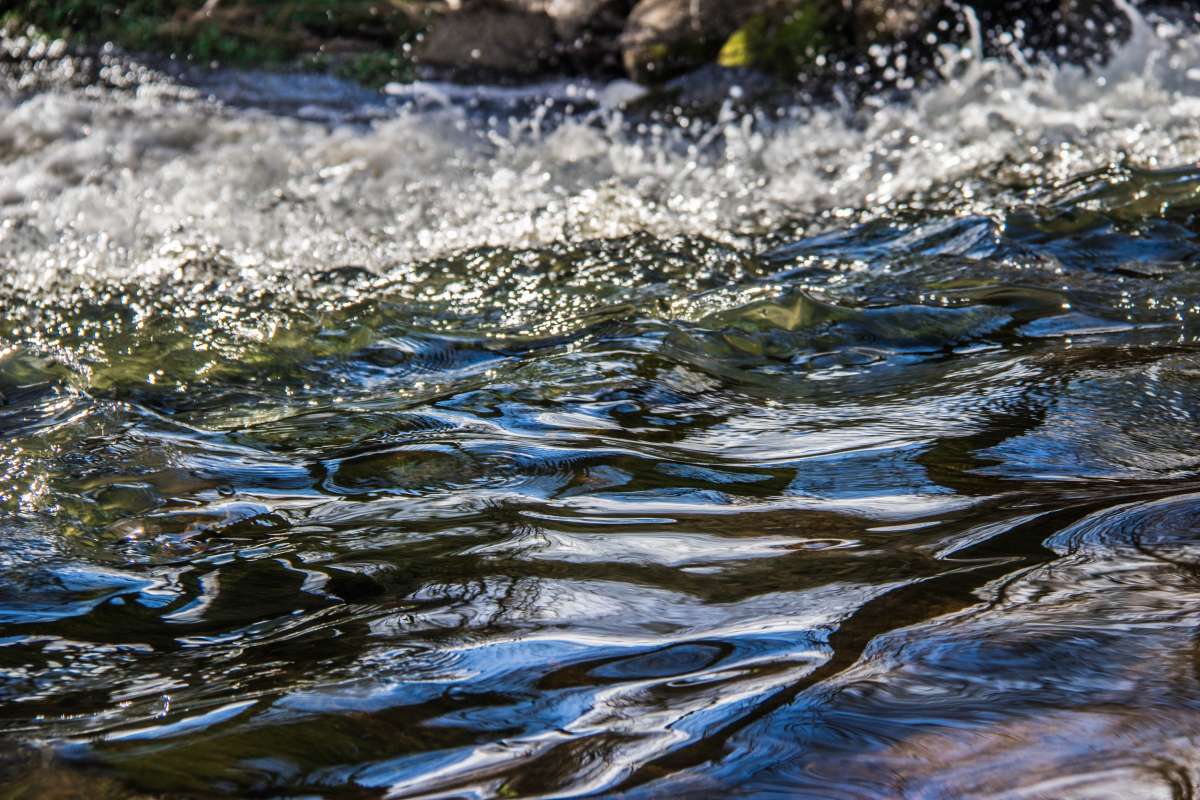 AssaadRazzouk's tweet photo. MIT Invention Turns Salt Water Into Drinking #Water Using #Solar Power http://t.co/oGsnyOTwEU #climate #innovation http://t.co/o9vBzuGU9k