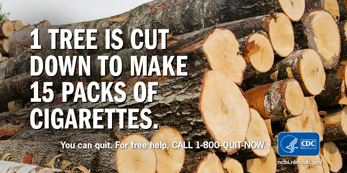 CDCTobaccoFree's tweet photo. It’s #ArborDay. Growing &amp; curing tobacco leads to significant deforestation, especially in the developing world. http://t.co/vlCV6kmWk1