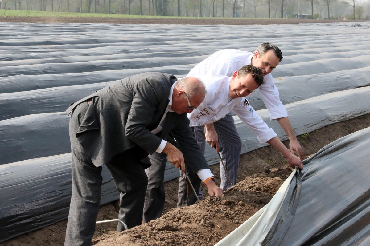 Theaterhotel's tweet photo. Eigenhandig gestoken door directie &amp; keukenteam! De asperges zijn er weer @Dock19Almelo @deSocieteit @DorpshuysBorne http://t.co/1uFfCPY6v2