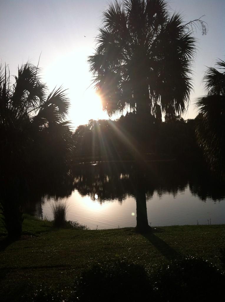 DrButchy's tweet photo. Gm Eckerd College! Food Security: Production and Sustainability Conference #ECfoodcon #IAP15 http://t.co/7EoQhDX1rP