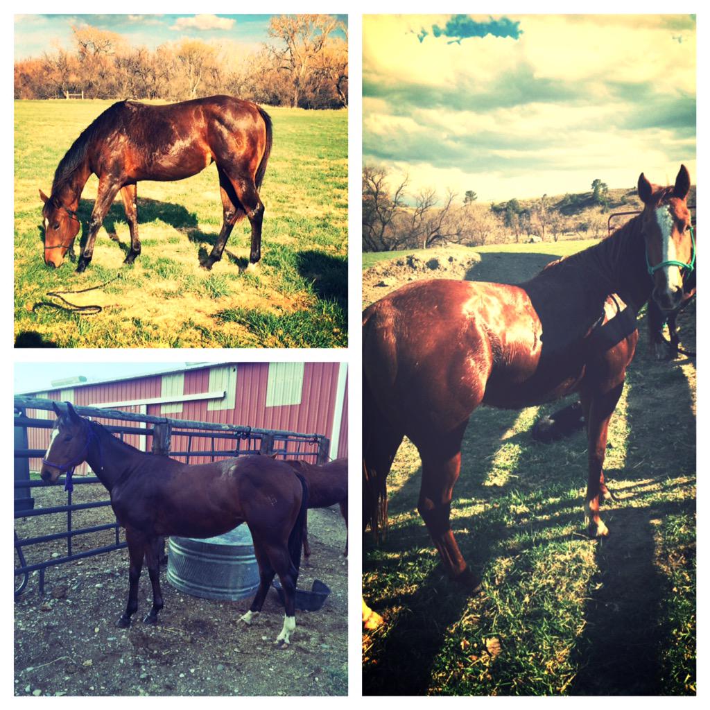 The cajun queens #cajunperksonfire #rungirlsrun