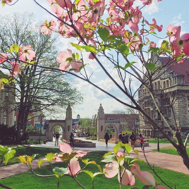 The colors of spring are alive and well in Bloomington! Such a beautiful place to call home!