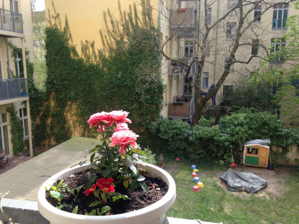 PPPFilms's tweet image. Byebye Berlin! Thank you for the music and the sun @ViktorPries. ✌🏻🎼🎶🌞