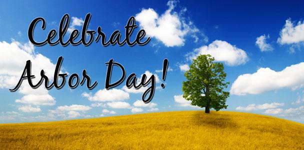 MullaneyLaw's tweet photo. Happy #ArborDay! How are you celebrating? http://t.co/iop9O24ypp