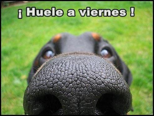 #viernes feliz viernes #friday! <3 http://t.co/R4EWhPTyZo