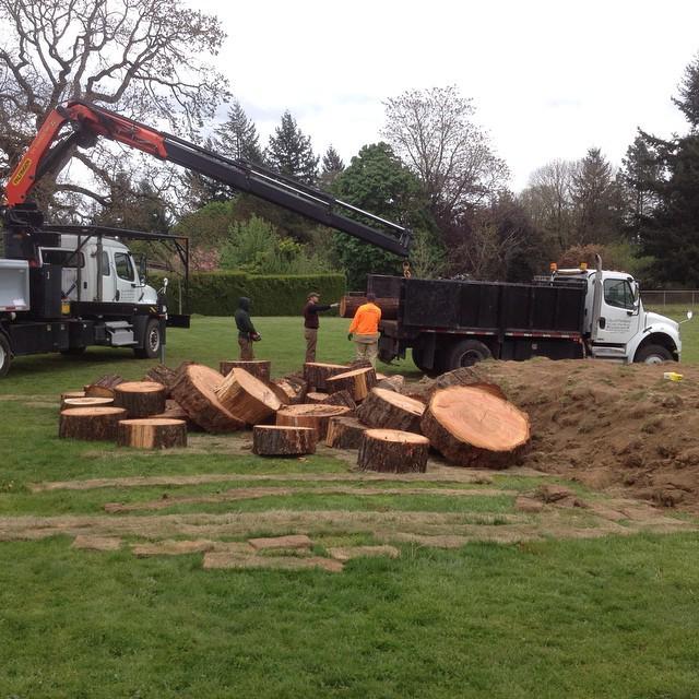 Logs and rounds for fitness trail and benches #LearningLandscape planting with #handsonpor… ift.tt/1DrEFk8