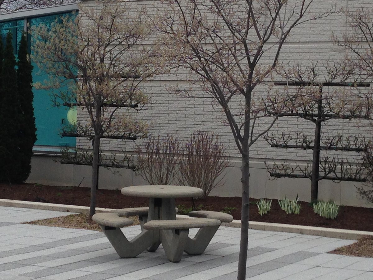 PGRCareers's tweet photo. Even our trees are unique and thought provoking. #ArborDay #100happydaysatwork http://t.co/Iycn1hkb2i