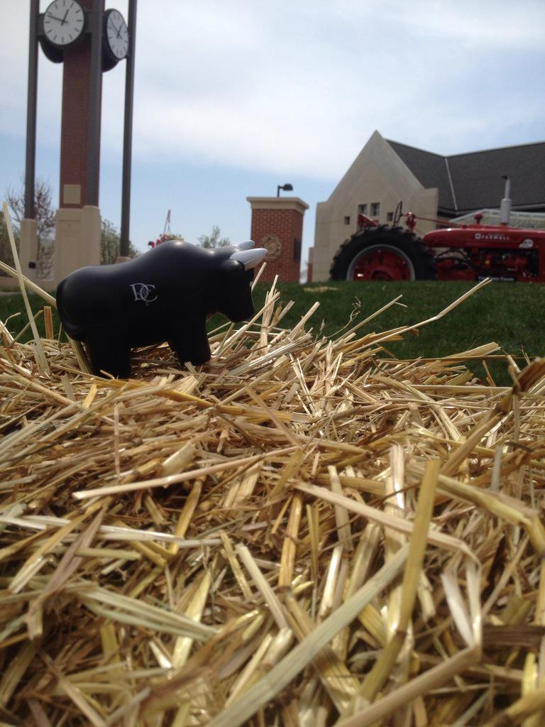 DC_AgDay2015's tweet photo. First one to come find the kid in the cow hide vest and answer a trivia question can win a DC Bull!! http://t.co/gfO4WKxfm0