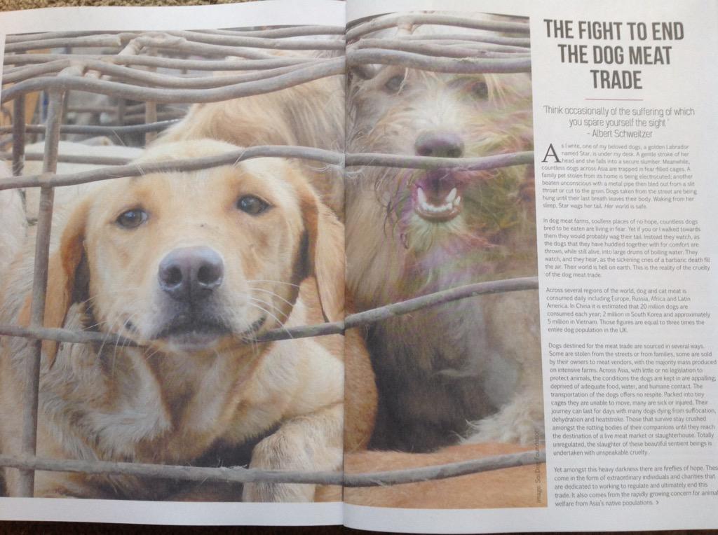 mariasloughpics's tweet image. Change For Animals Foundation and @HSIGlobal featured in #endogmeatrade article in this month&apos;s @VeganLife_Mag