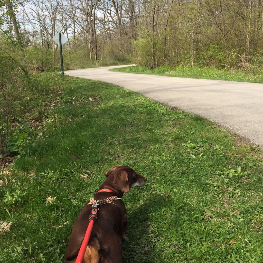 mitzimoo5's tweet image. This is what it&apos;s all about. #joyofspring