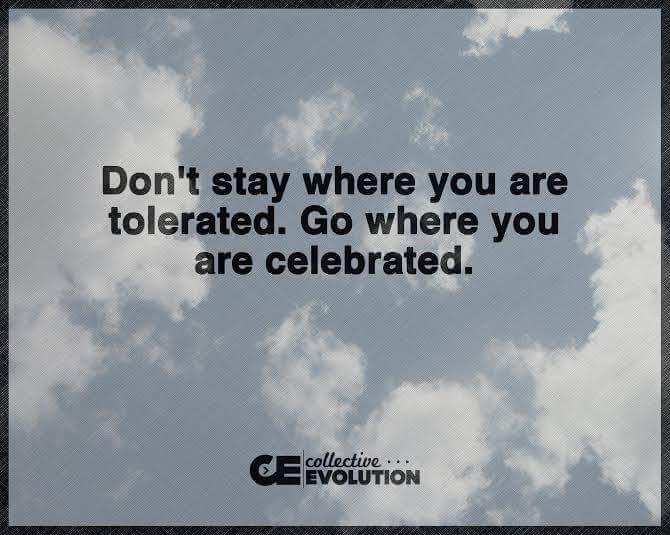 Matt Clapper tweet media