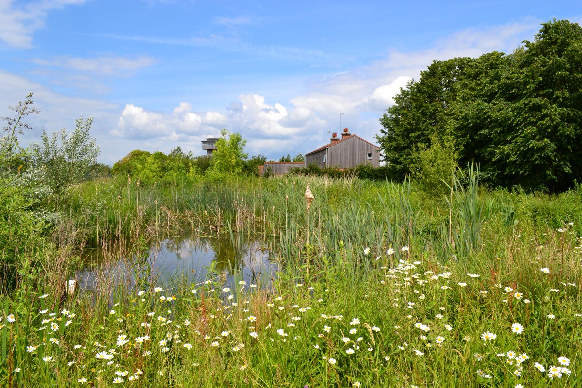 WWTworldwide's tweet photo. This week we launched a guide to help farmers stop pollution running off their land into water http://t.co/owPLce90FB http://t.co/5LSp2Os9v0