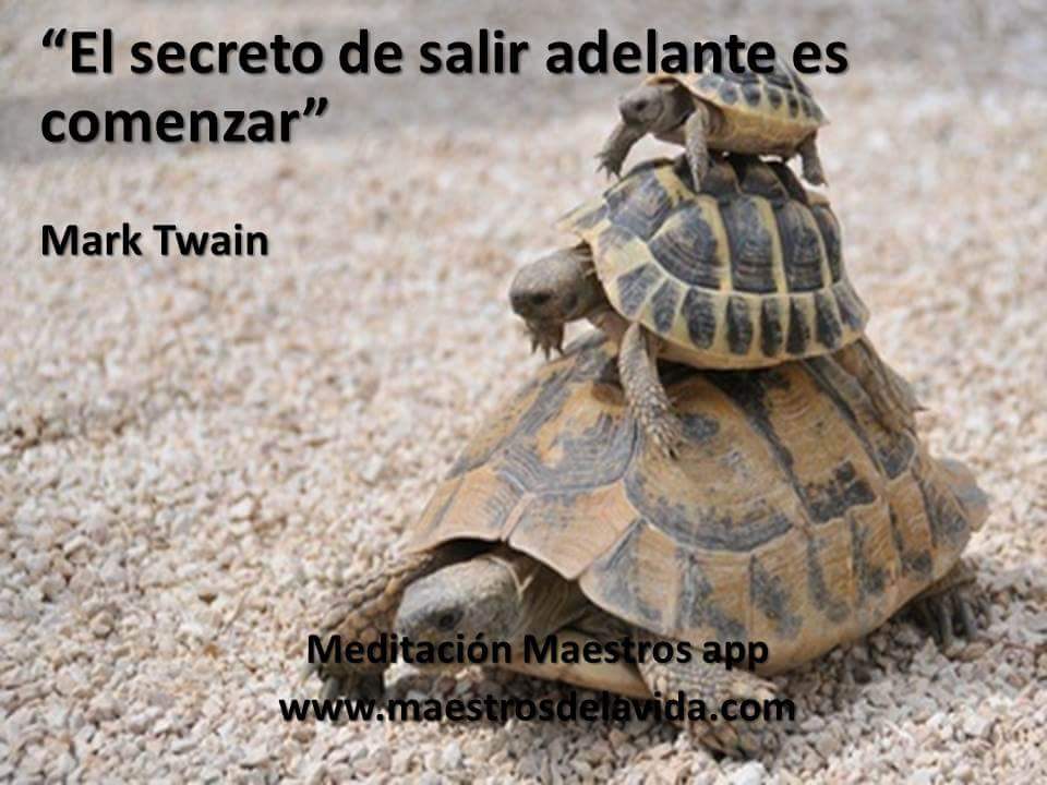 maria tweet media