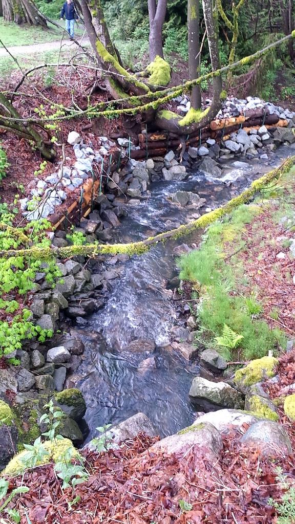 jolenesalter's tweet photo. Went to check out an old work site π but some of the plants got trampled over.. #sharp2014 #queenmarypark #watershed http://t.co/zxfzA0UrRR