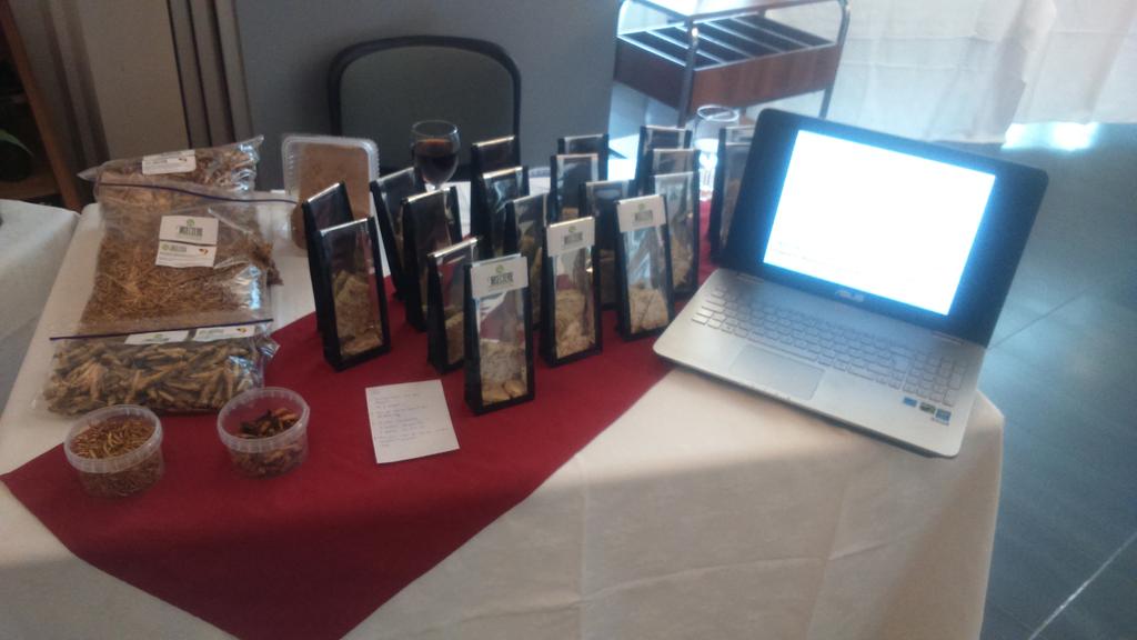 InsectBreak's tweet photo. Stand de @InsectBreak à la journée porte ouverte de l'IPAM à Nivelles !! 
Plein d'aventuriers ! http://t.co/Js2xyQdj70