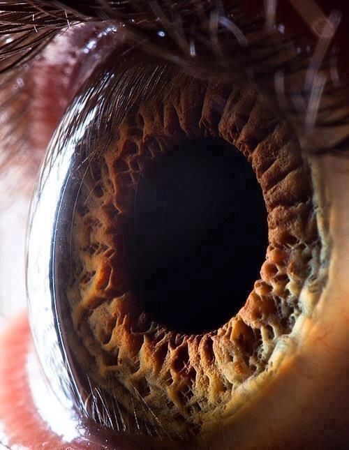 This is what the human eye looks like close up.