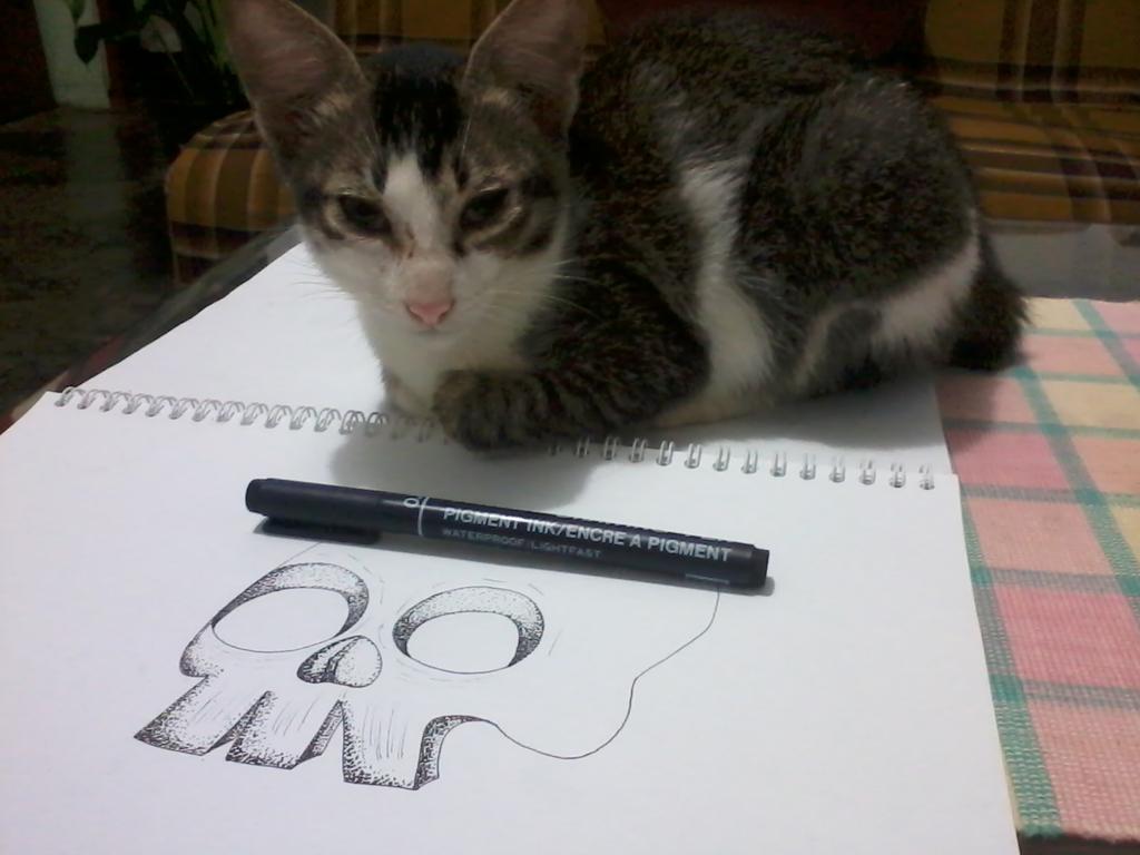 Niwe_Visual's tweet image. Di mandorin jadi grogi #sketch #kucing #pointilis #WIP