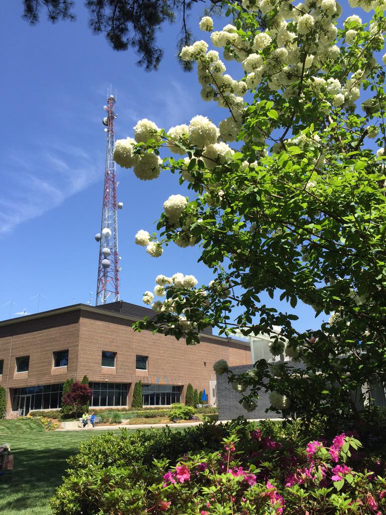 chouchoutv's tweet photo. Could it be any more gorgeous today???#sunshinefilter #stepoutoftheoffice http://t.co/6SQIxqoXmJ