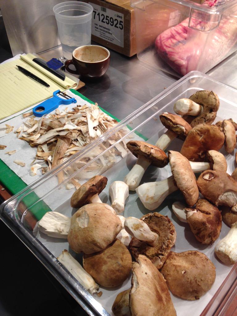 CookWellDC's tweet photo. Mother Nature blessed us with #Porcini mushrooms! Gonna use them in the best way possible! http://t.co/BoJ9myxkRh