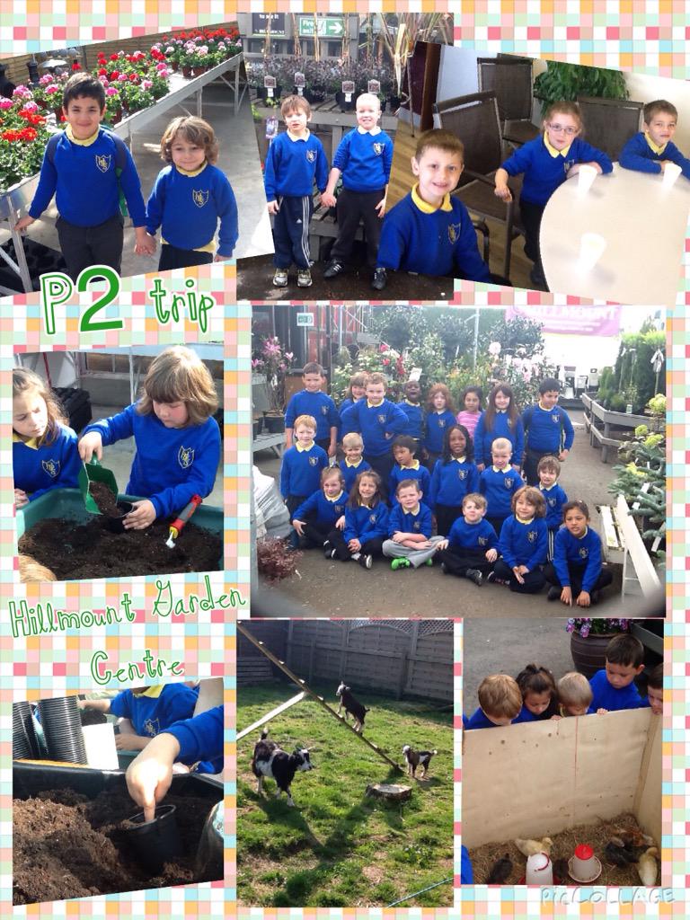 holyrosaryps's tweet image. Mrs McSorley & Miss Monahan's P2s were at @HillmountGarden today - lots of #TopicBasedLearning about Spring & growth