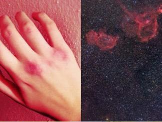 bodycompared's tweet image. 