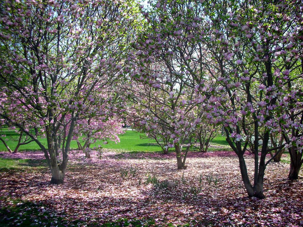 Enjoying another beautiful spring day in Stillwater! Lore Hills Park is looking magical as always. #lovethistown